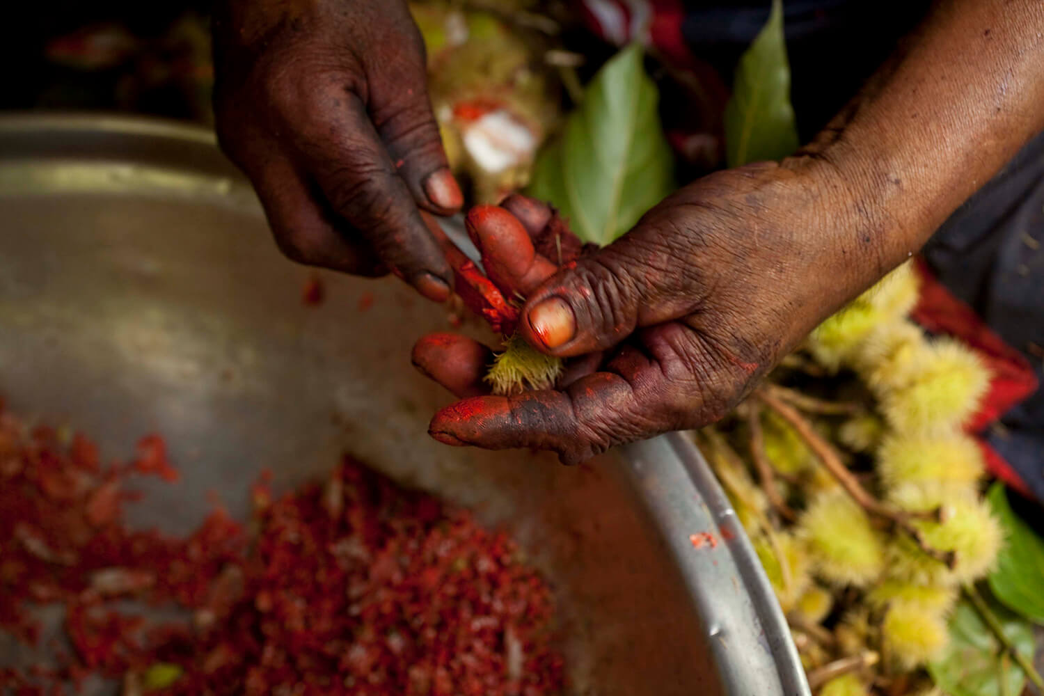 ACHIOTE 3_galeria _MG_5867.jpg